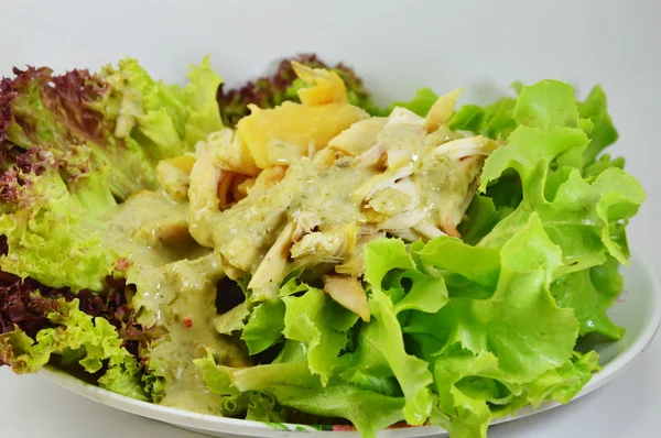 Kip salade dressing zure saus op schotel — Stockfoto