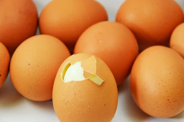 Oeuf bouilli fissuré sur fond blanc — Photo