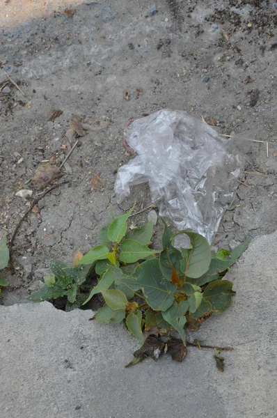 Gota de bolsa de plástico en el suelo — Foto de Stock