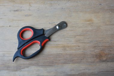 köpek ve kedi nipper ahşap tahta üzerinde çivi