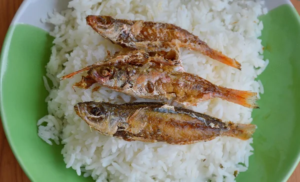 Cobertura de peixe frito em arroz simples — Fotografia de Stock