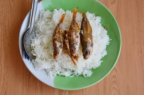 Garniture de poisson frit sur riz ordinaire — Photo