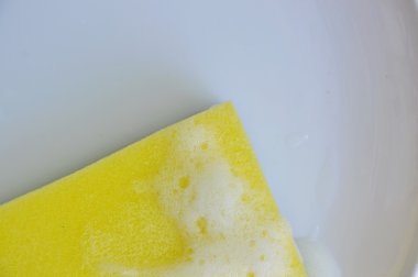 Sarı maki sünger yıkama beyaz plaka üzerinde