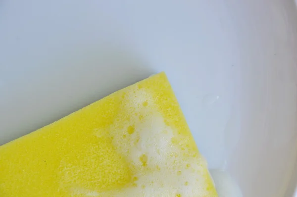 Sárga cserjések szivacs mosó fehér tányérra — Stock Fotó