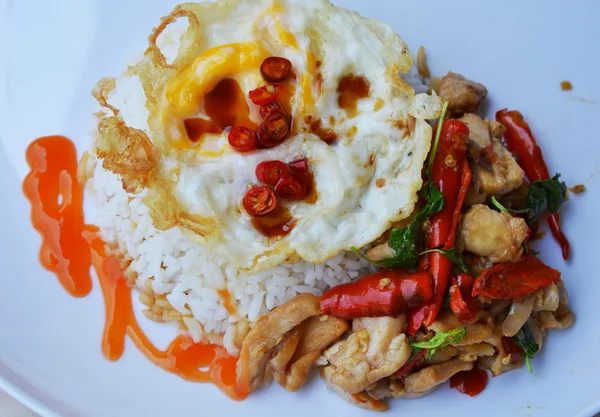 Ayam goreng aduk pedas dengan daun kemangi makan pasangan dengan telur di atas nasi polos — Stok Foto