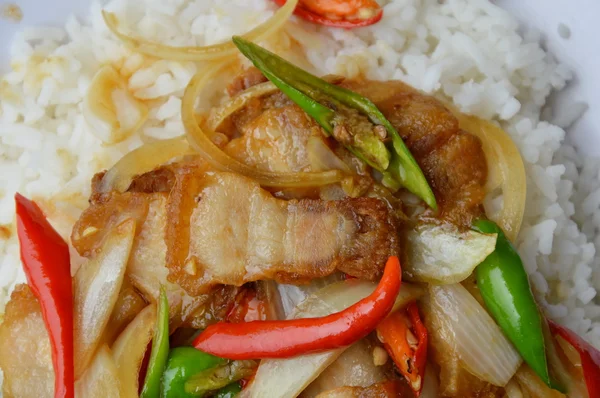 Aduk goreng daging babi renyah dengan cabai manis dan irisan bawang pada beras — Stok Foto