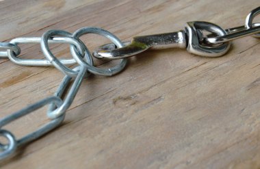 Paslanmaz köpek kolye ve zinciri ahşap tahta üzerinde