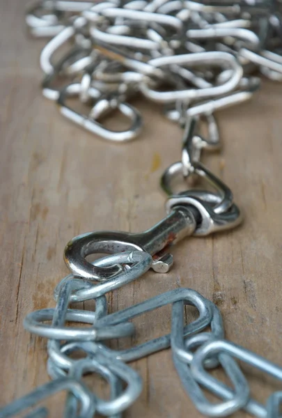 Nerezové psí náhrdelník a řetězu na dřevěné desce — Stock fotografie