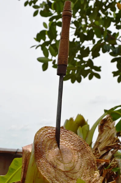 Tay kılıç bıçak muz ağacı üzerinde güdük kesilmiş Bahçe sonra — Stok fotoğraf
