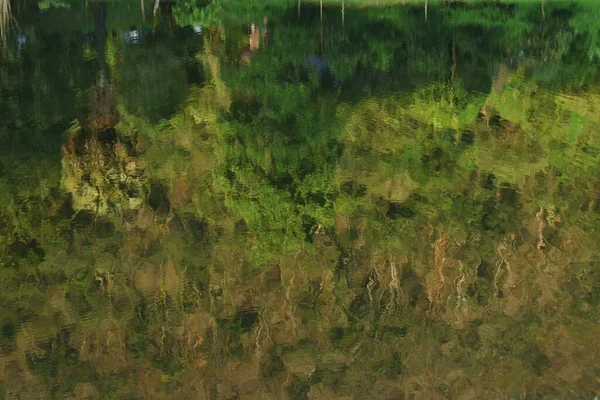 Reflejo Borroso Del Árbol Superficie Del Agua Khao Ruak Embalse — Foto de Stock