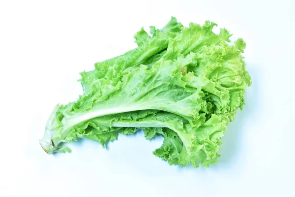 Ensalada Lechuga Fresca Vegetal Con Gota Agua Sobre Fondo Blanco — Foto de Stock