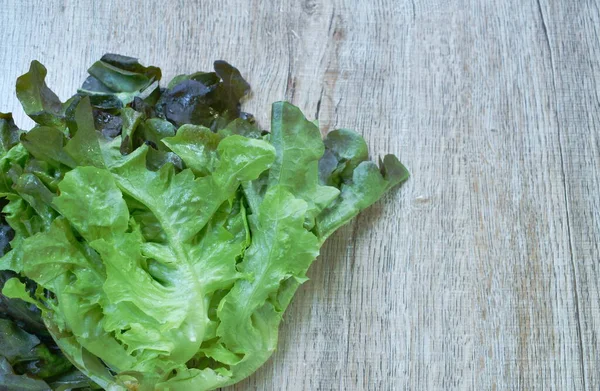 Insalata Verdure Fresche Quercia Rossa Con Goccia Acqua Disponendo Sfondo — Foto Stock