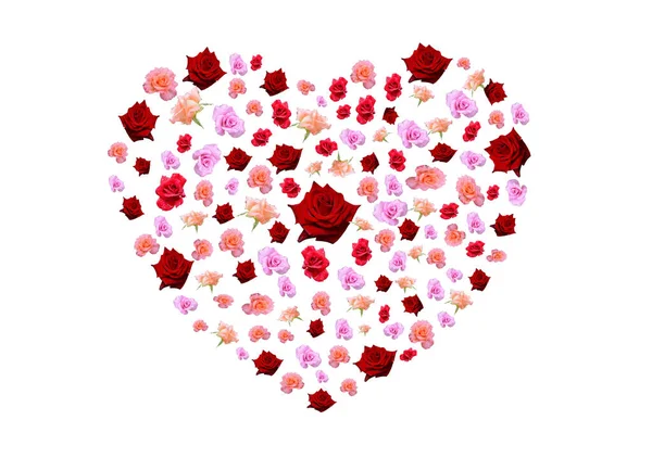 Kleurrijke Roos Bloeien Rangschikkend Hart Vorm Concepten Valentijn Witte Achtergrond — Stockfoto