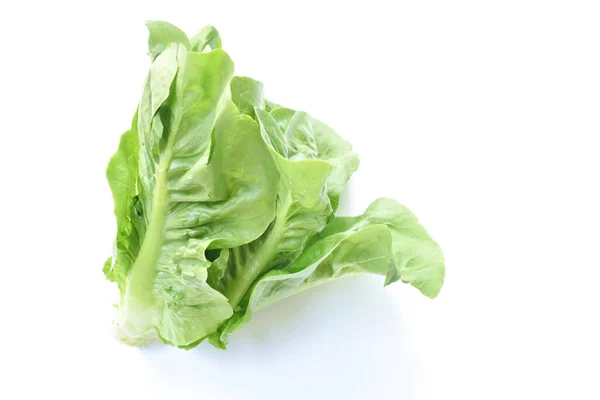 Ensalada Verduras Lechuga Bacalao Verde Fresco Con Gota Agua Sobre —  Fotos de Stock