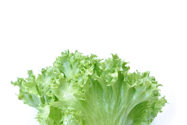 Färsk Grön Sallad Grönsakssallad Med Droppe Vatten Ordna Vit Bakgrund — Stockfoto