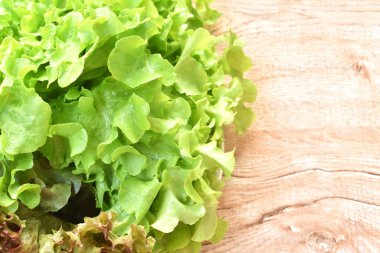 Taze kırmızı ve yeşil meşe salatası. Tabakta bir damla su var.