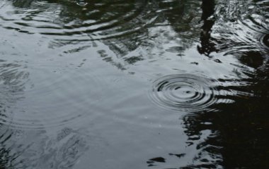  Bulanık yağmur damlası parktaki çimentoda su basmasına neden olur.