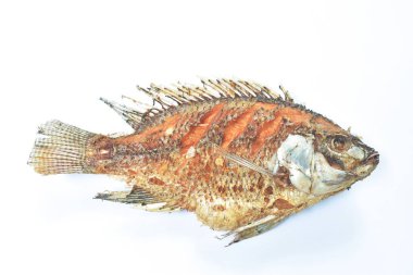  Kızarmış tuzlu mango ya da beyaz arka planda Tilapia balığı.