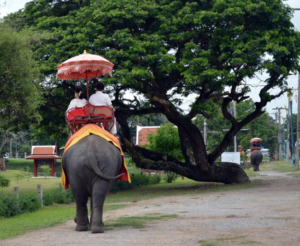 Equitação de elefante — Fotografia de Stock