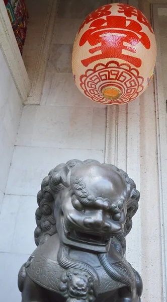 Çin aslanı — Stok fotoğraf