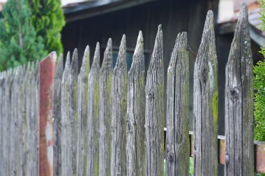 Interlaken üzerinde paling