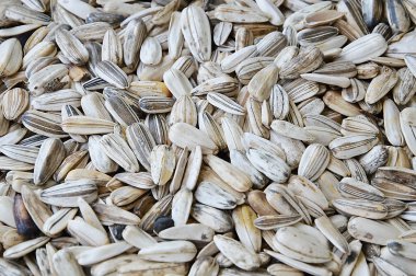 Beyaz Ay çekirdeği