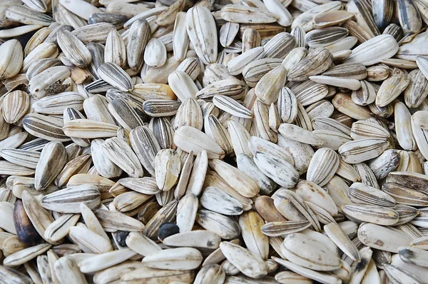 Beyaz Ay çekirdeği