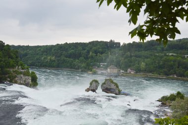 Rhine sonbahar İsviçre