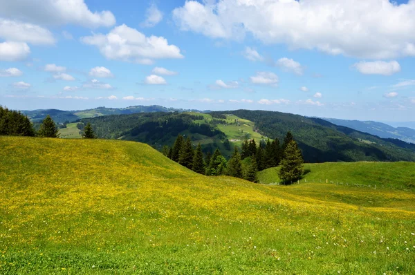 Appenzell landscape — Stock Photo, Image