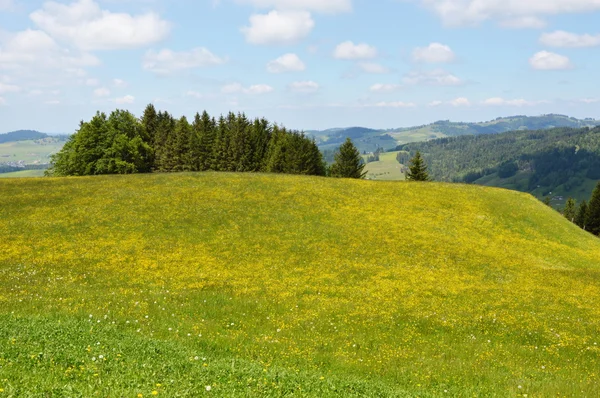 Appenzello paesaggio — Foto Stock