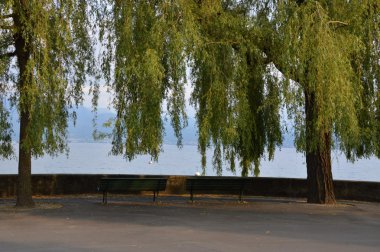 Cenevre Gölü üzerinde Bench