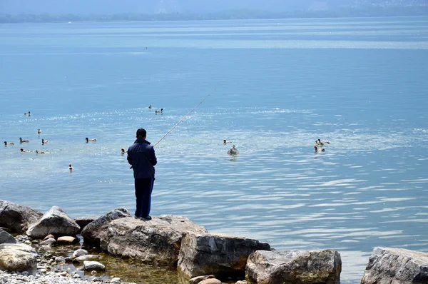 Pesca no lago de Genebra — Fotografia de Stock
