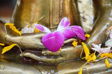 Buuddha elinde çelenk