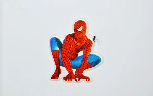 Spider man and death mosquito like it was his meal — Stock Photo, Image