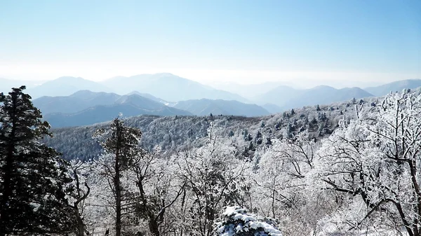 Переглянути від гірськолижного курорту в Кореї — стокове фото
