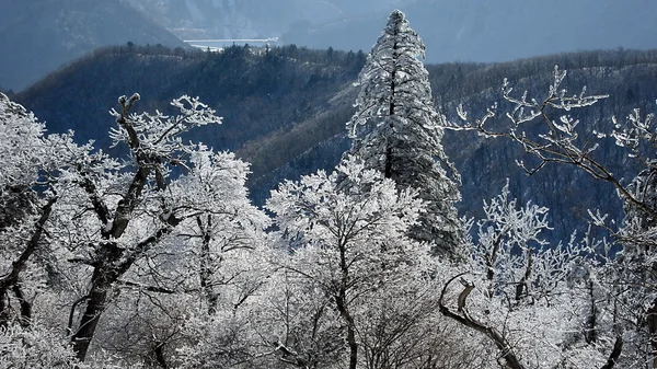Краєвид гора від гірськолижного курорту в Кореї — стокове фото