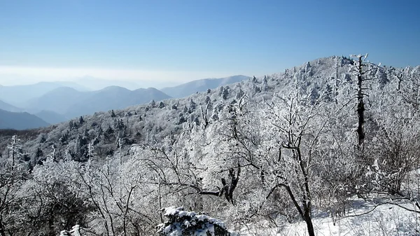 韓国のスキー場から山の風景 — ストック写真