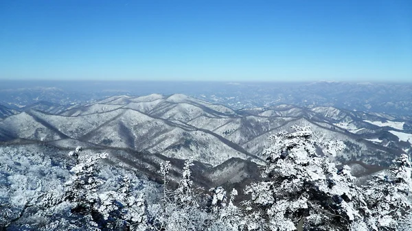 韓国のスキー場から山の風景 — ストック写真