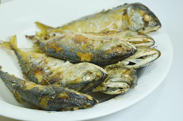 Caballas fritas en el plato — Foto de Stock