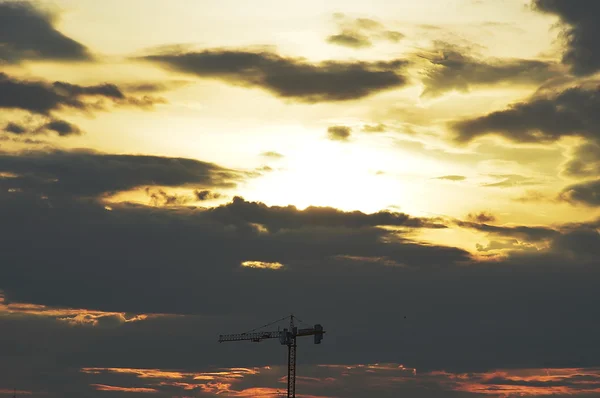 Μεγάλος γερανός στο ηλιοβασίλεμα — Φωτογραφία Αρχείου