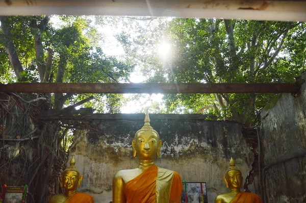 Buddha in ancient monastery — Stock Photo, Image
