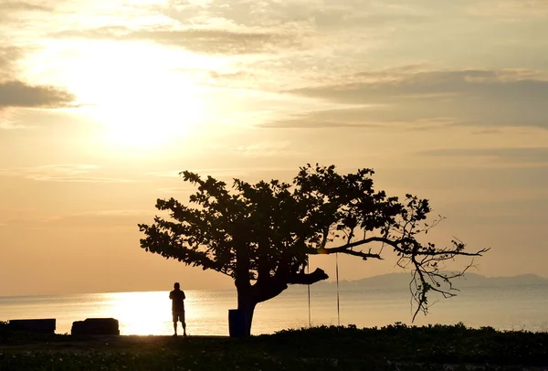 Uomo foto l'alba sotto il grande albero — Foto Stock