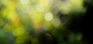 bahçe bitki bulanıklık