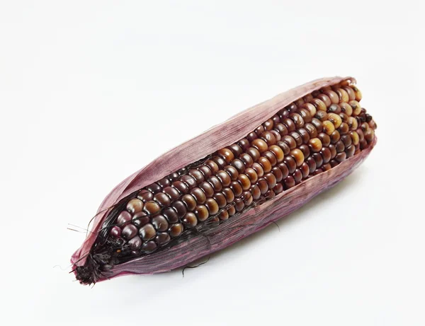 Black corn — Stock Photo, Image