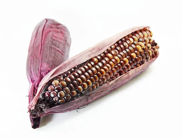 黑玉米 — 图库照片