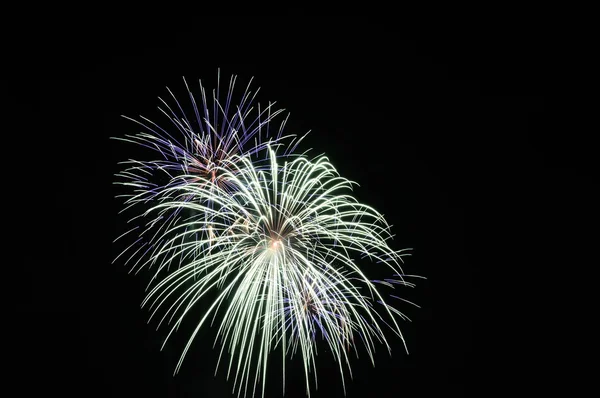 Feu d'artifice — Photo