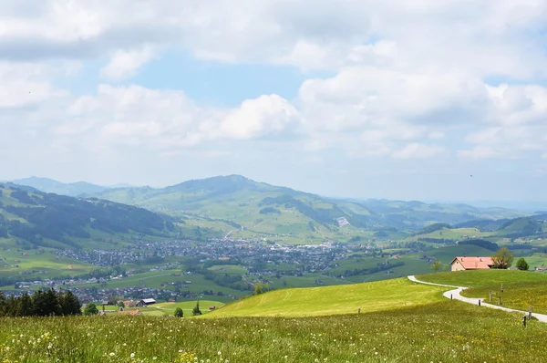 Grass field in Appebzell — Stock Photo, Image