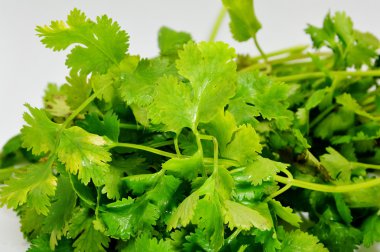 damla su maydanoz üzerinde