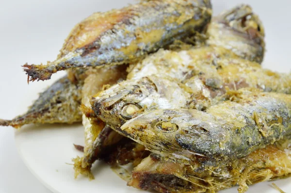 Fried mackerels on the dish — Stock Photo, Image