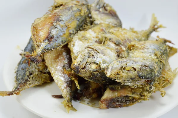 Caballas fritas en el plato — Foto de Stock